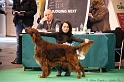 Crufts2011 848